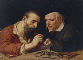 Le Salamandre